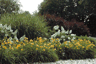 Landscaping plans