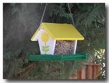 How to Build a Bird Feeder