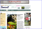 Flowering bird feeders