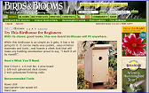 Birdhouse for Beginners