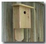 Bluebird house