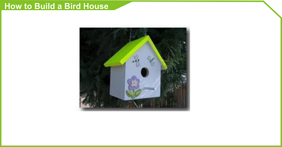 How to Build a Bird House